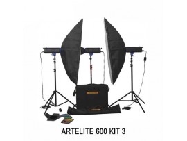 Paket Studio Golden Eagle Artelite 600 Kit 3